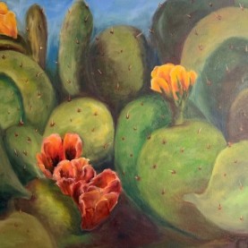  Cactus in Bloom